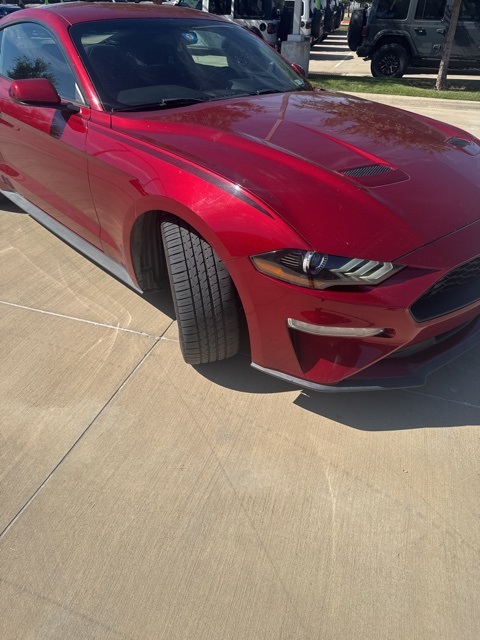 2019 Ford Mustang EcoBoost photo 2