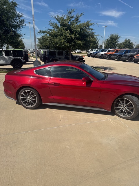 2019 Ford Mustang EcoBoost photo 3