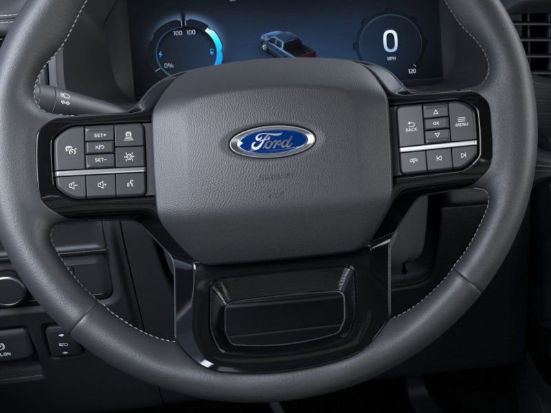 2025 Ford F-150 Lightning Platinum photo 11
