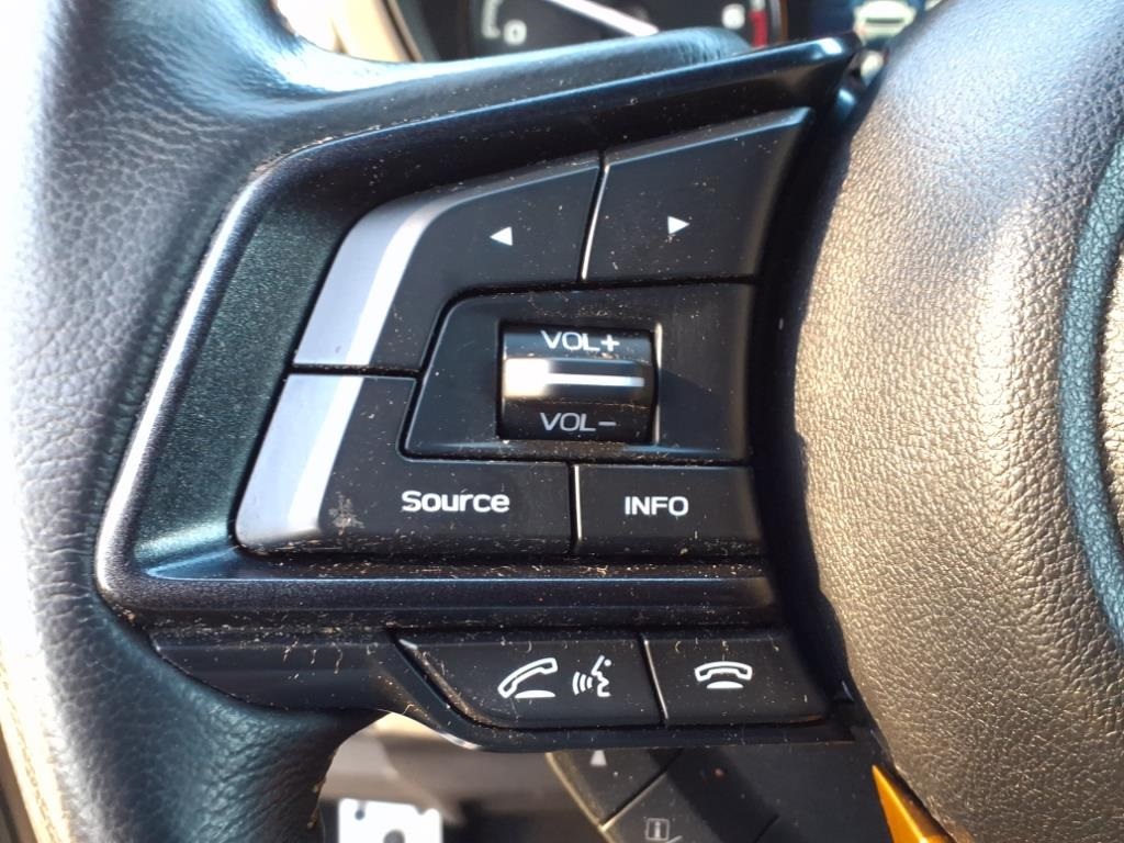2022 Subaru Forester Wilderness photo 22
