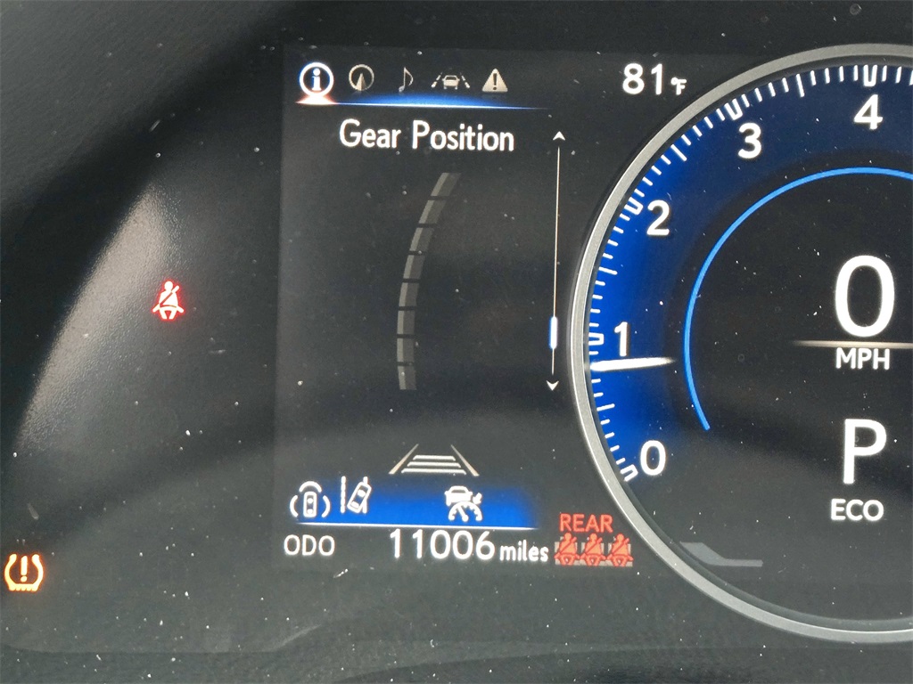 2024 Lexus RX 350 photo 10