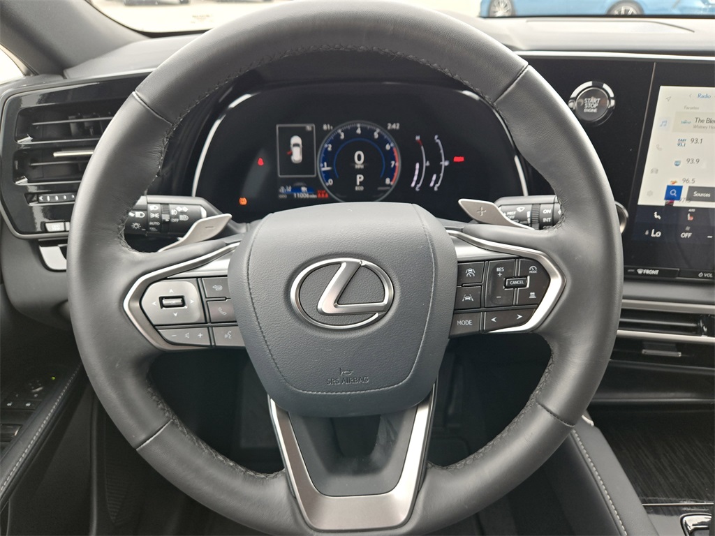 2024 Lexus RX 350 photo 14
