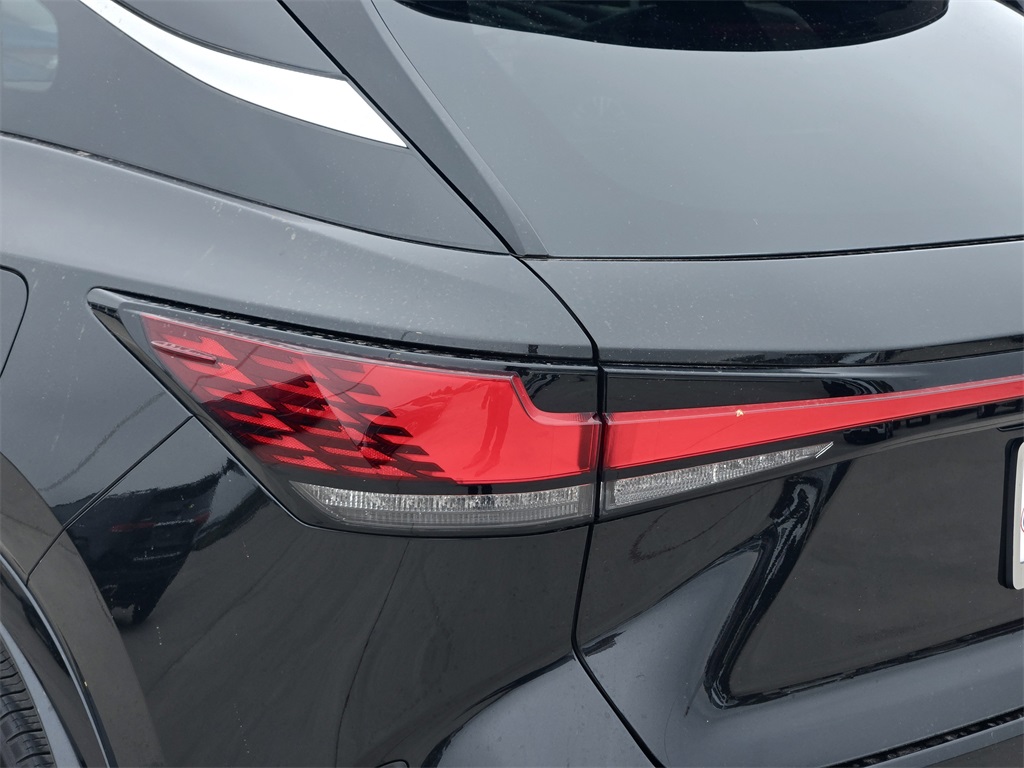 2024 Lexus RX 350 photo 6