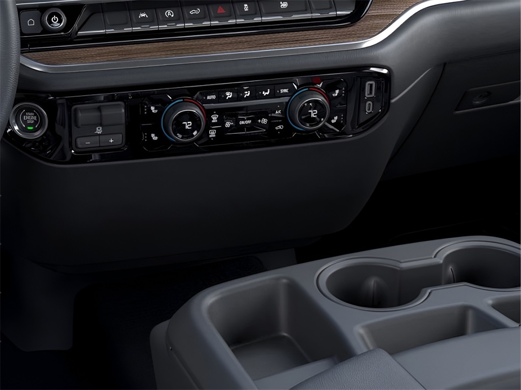 2025 Chevrolet Silverado 1500 LT photo 10
