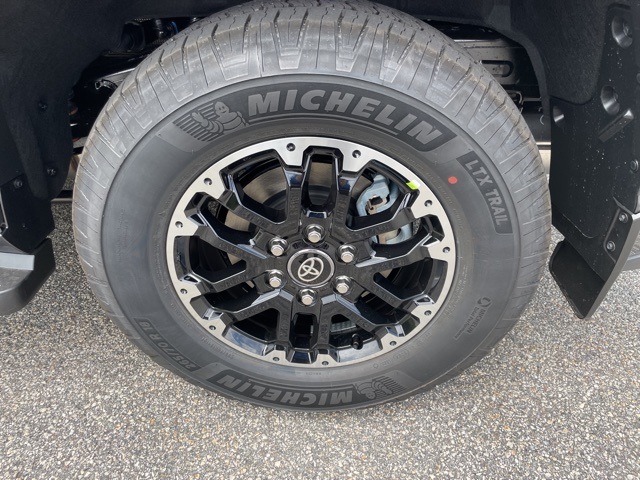 2025 Toyota Sequoia SR5 photo 10