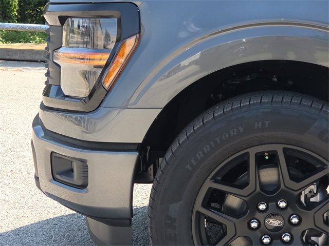 2025 Ford F-150 STX photo 4