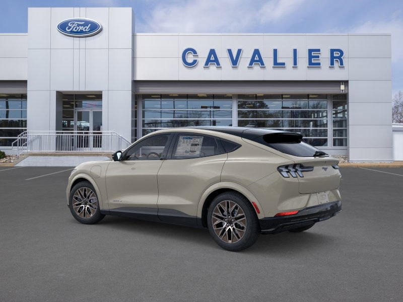 2025 Ford Mustang Mach-E Premium photo 2
