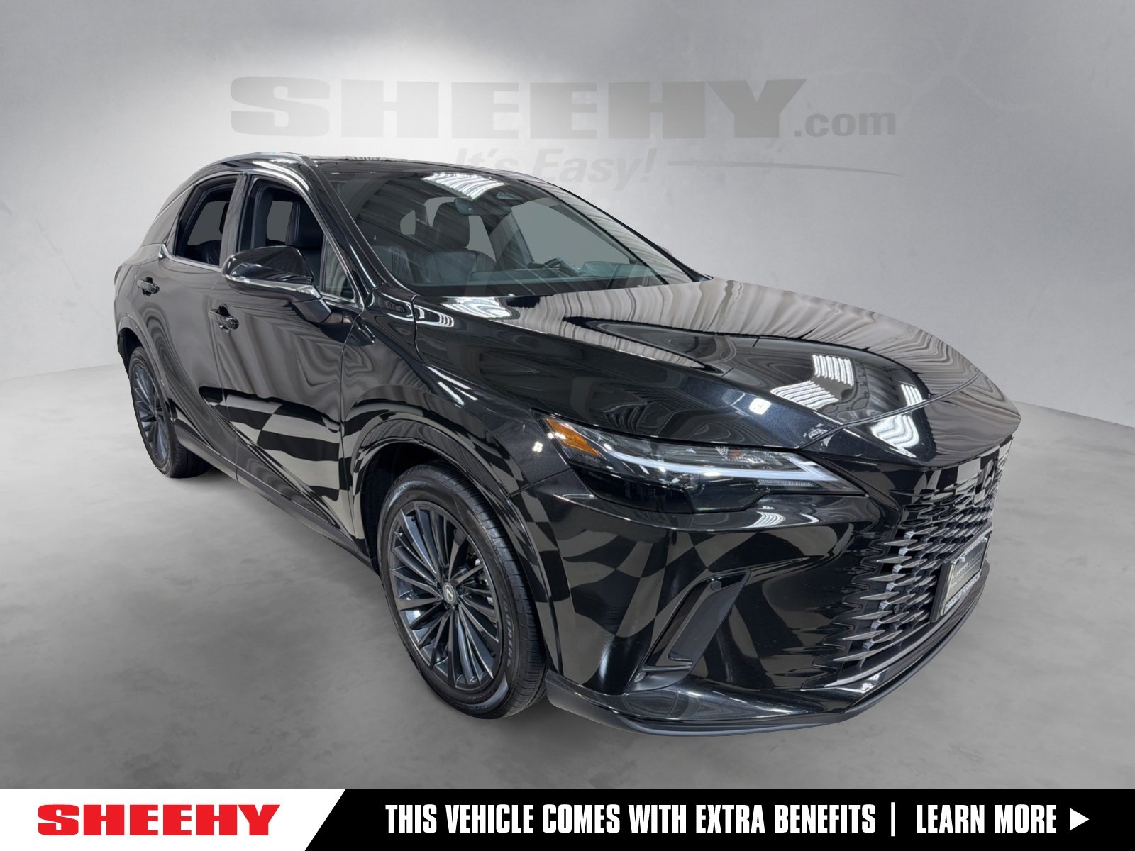 2024 Lexus RX 350's photo