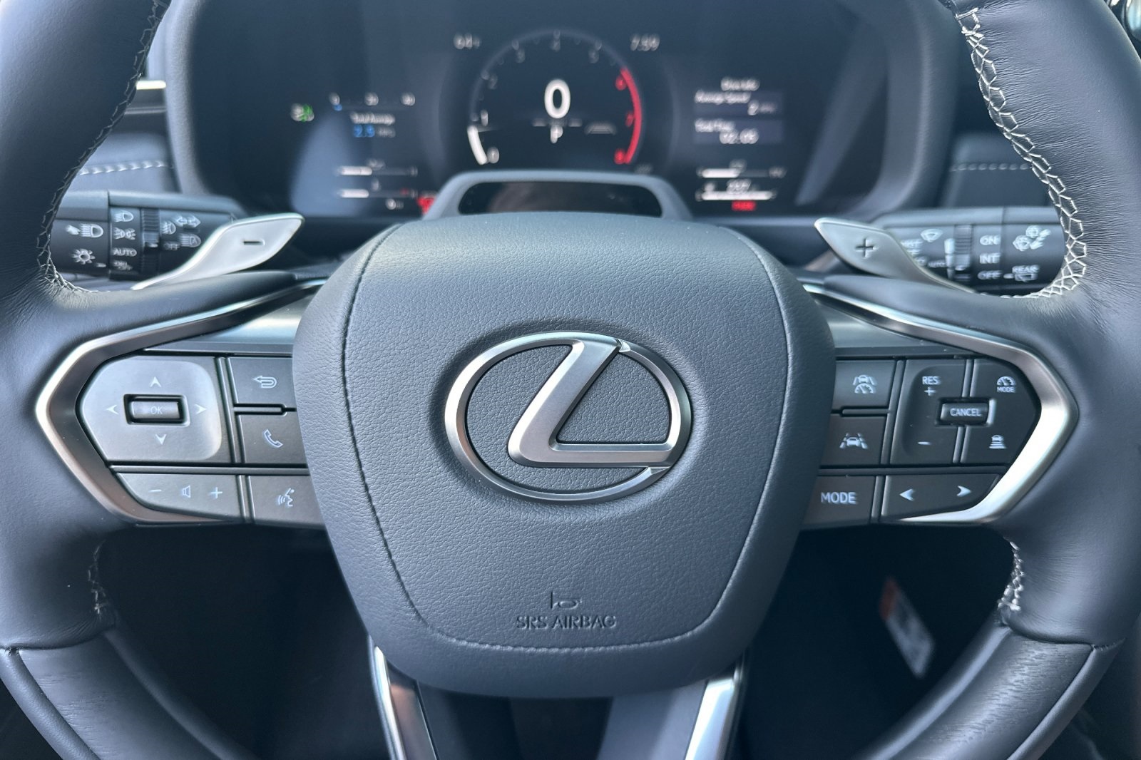 2025 Lexus LX 600 Luxury photo 17