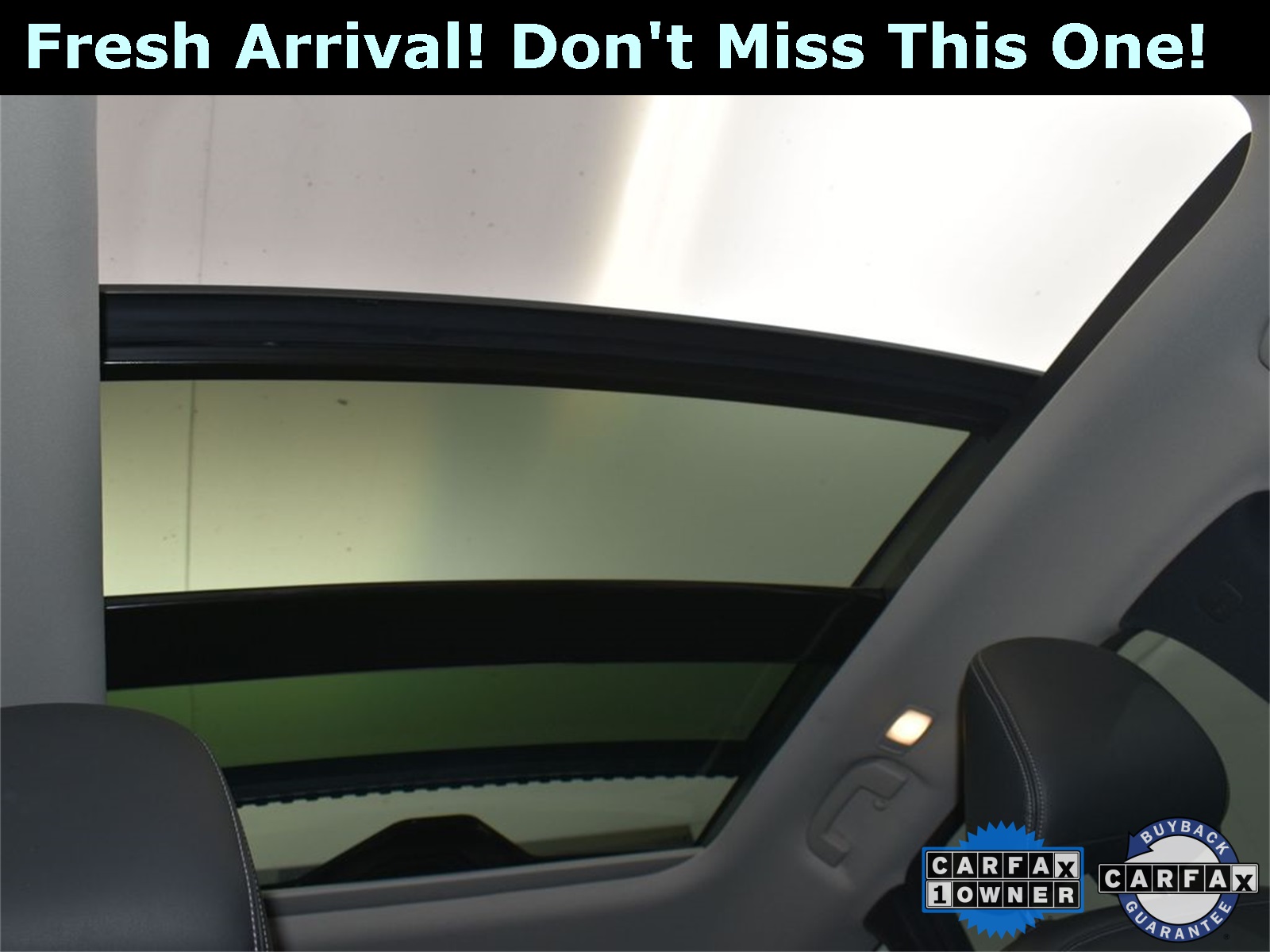 2022 Hermosa Blue INFINITI QX50 LUXE AWD SUV