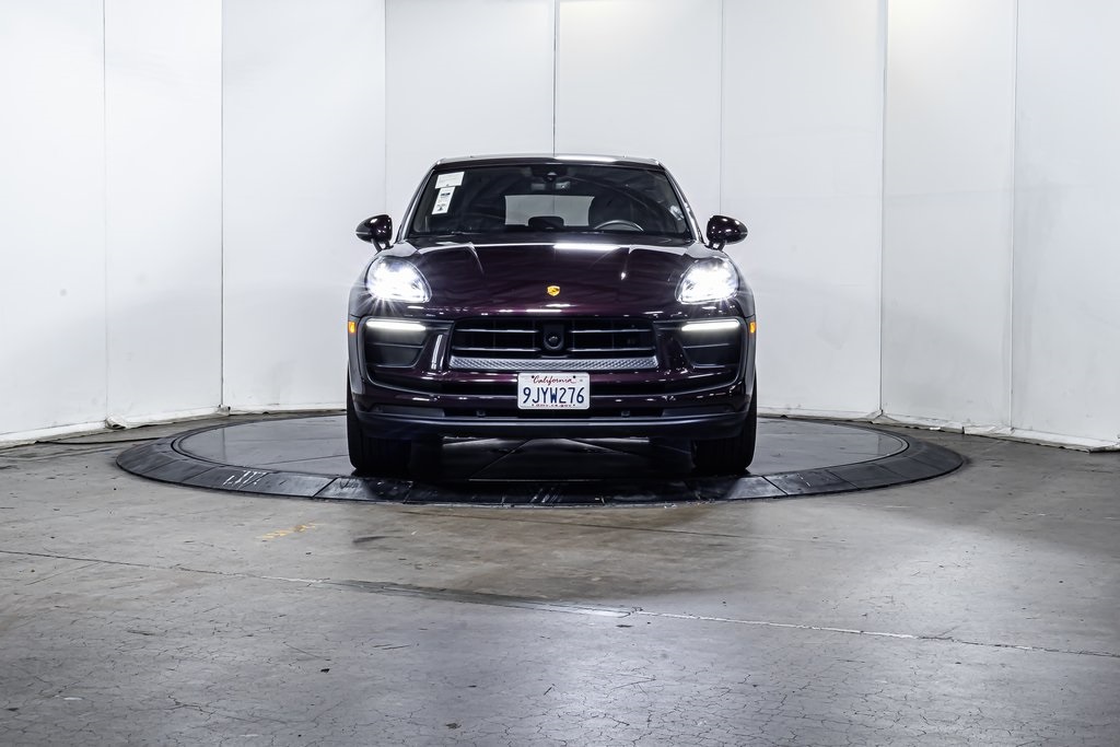 Macan