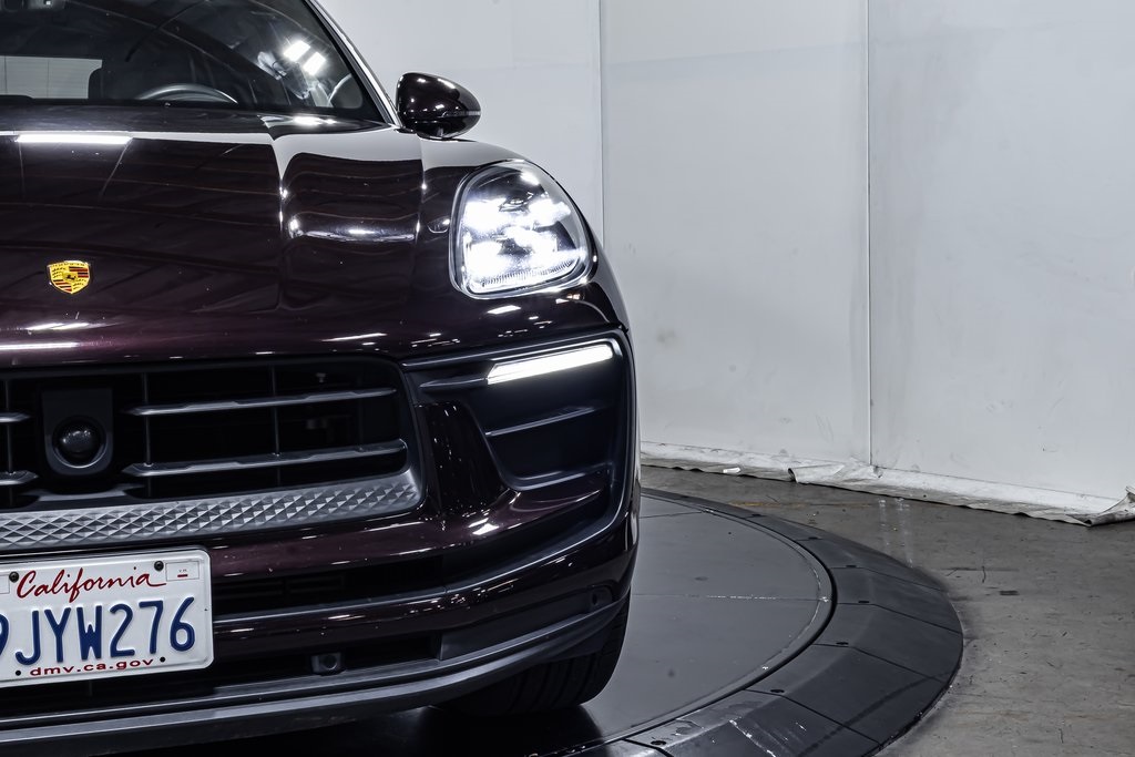 Macan