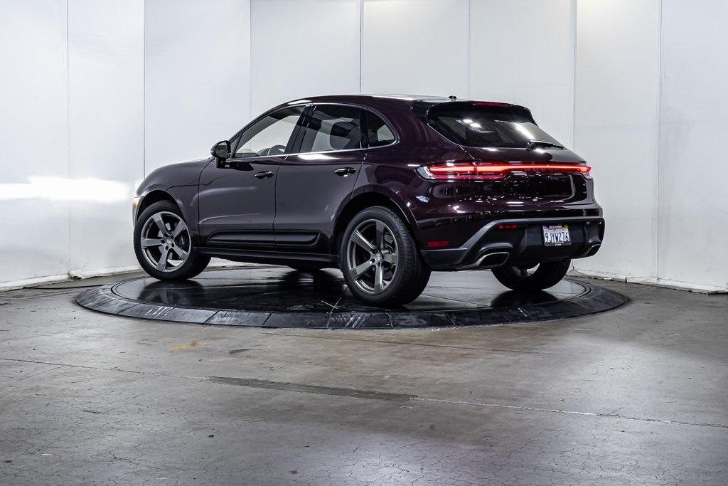 Macan
