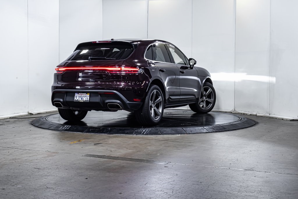 Macan