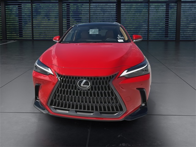 2025 Lexus NX 350h Luxury AWD photo 3
