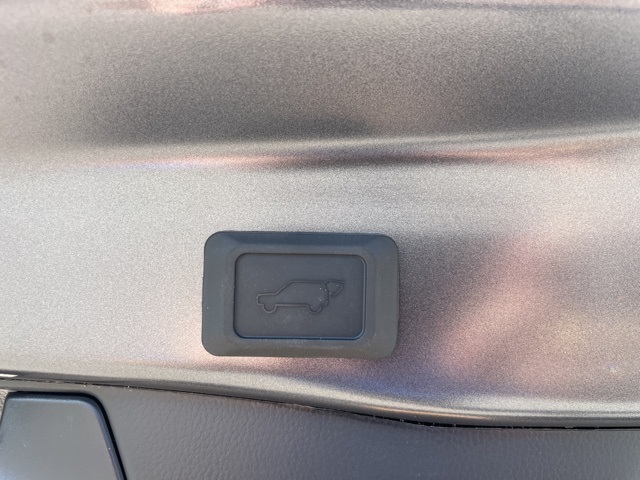 2025 Toyota RAV4 XLE photo 6