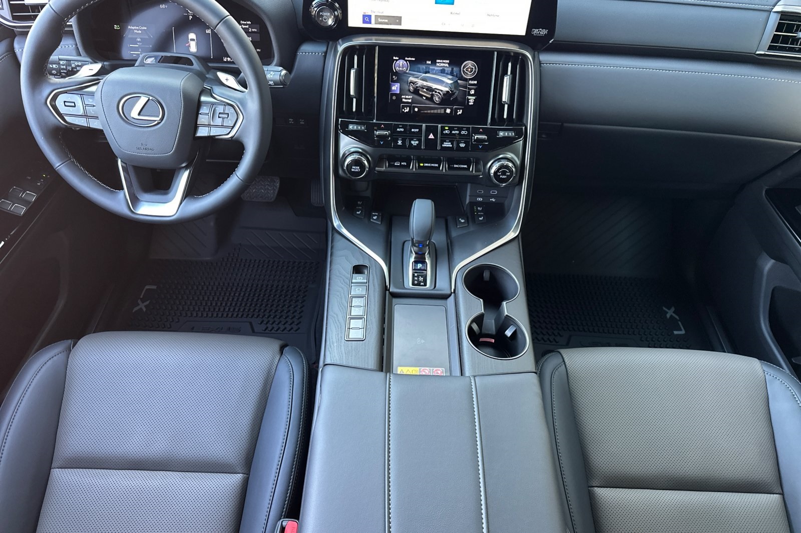 2025 Lexus LX photo 10