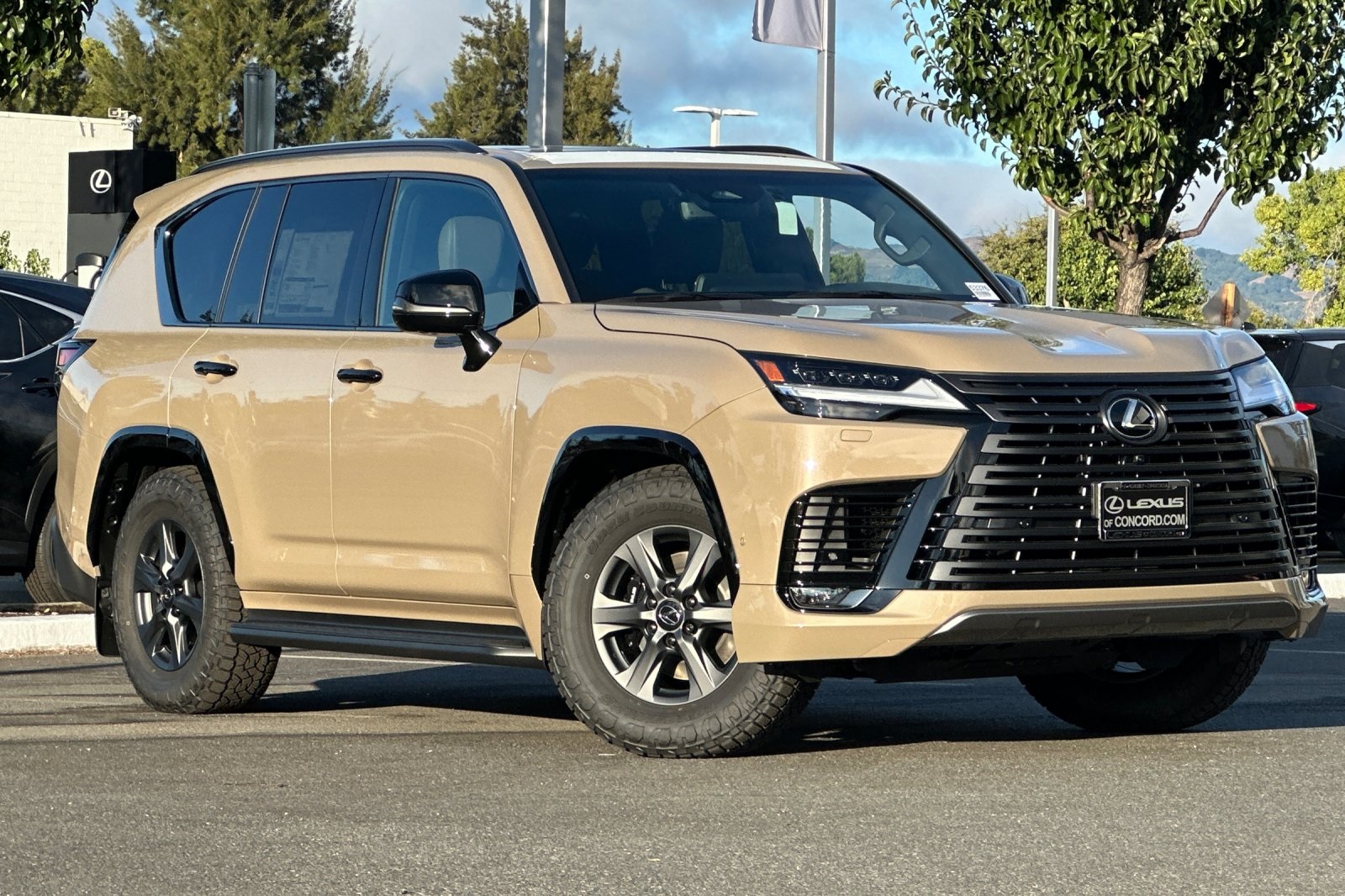 2025 Lexus LX photo 2