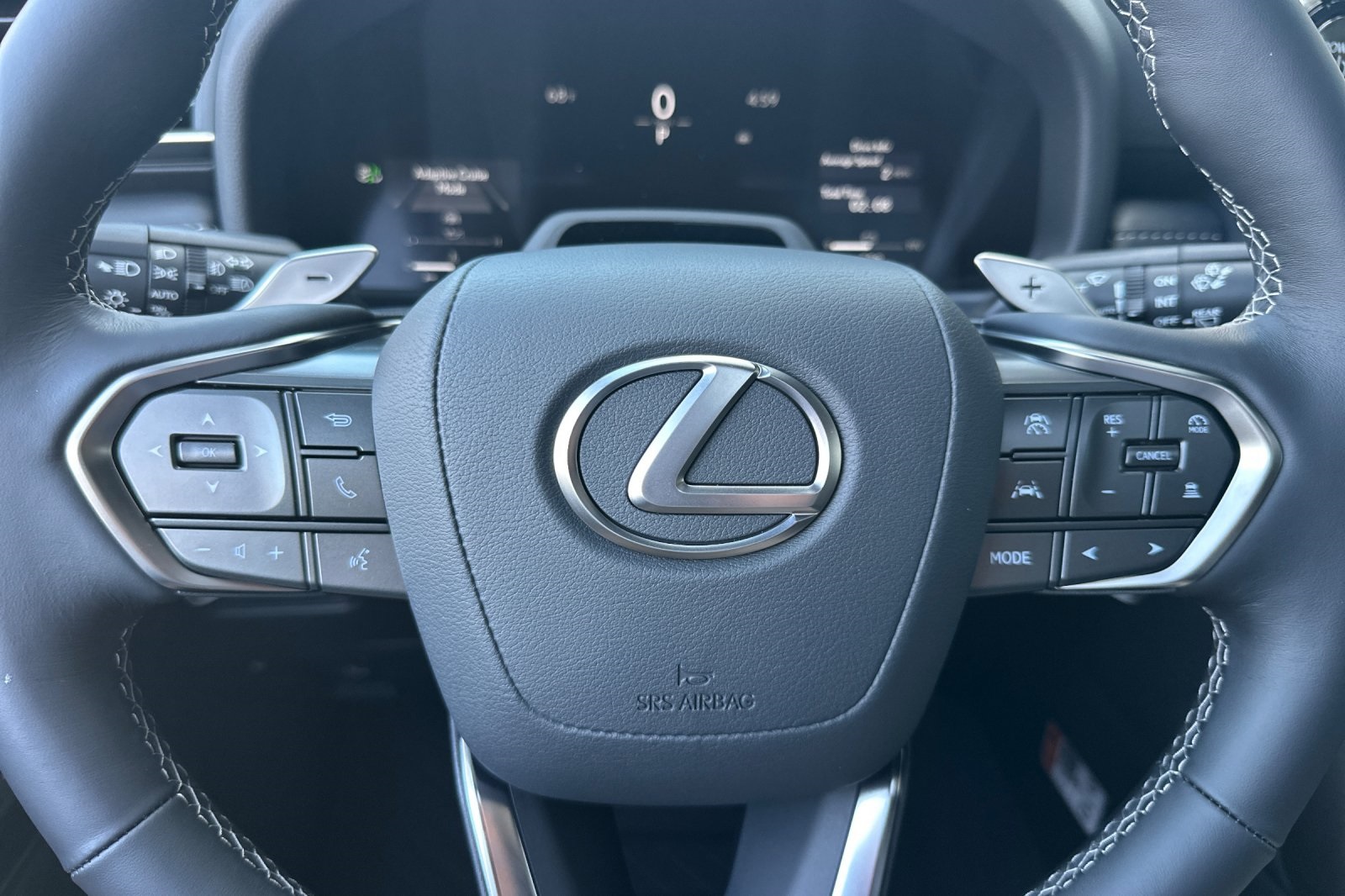 2025 Lexus LX photo 18