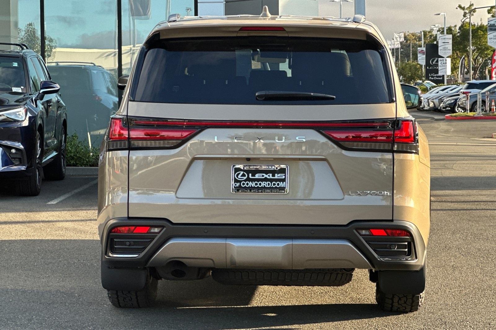2025 Lexus LX photo 5