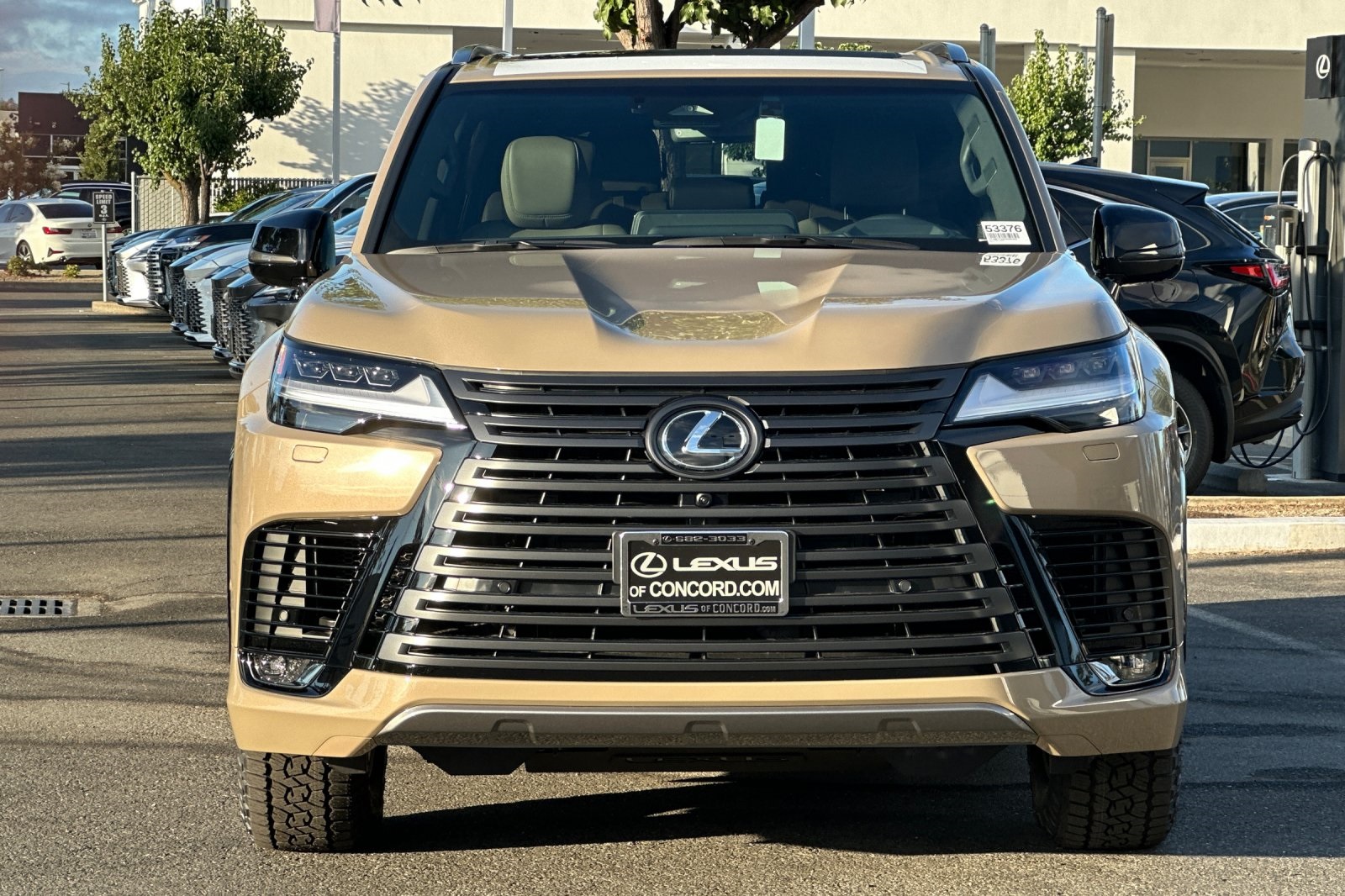 2025 Lexus LX photo 6