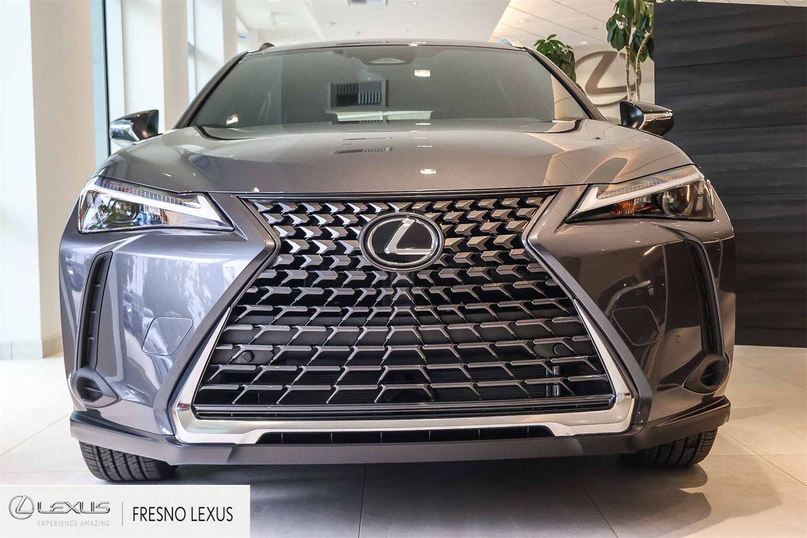 2025 Lexus UX Premium photo 2