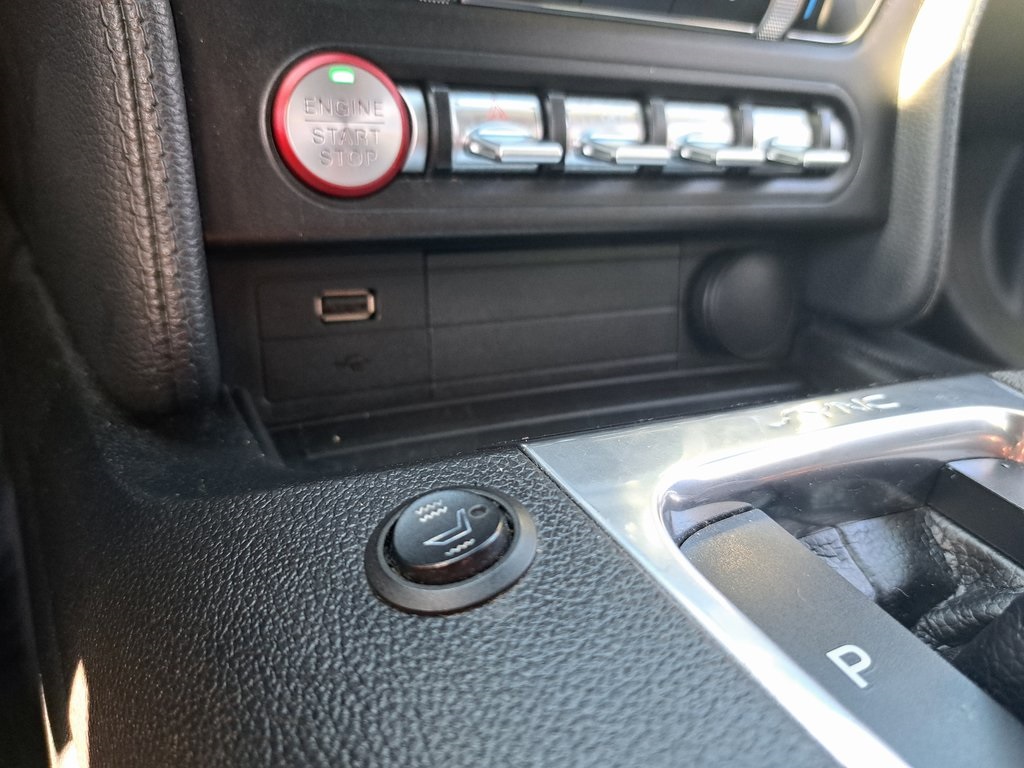 2020 Ford Mustang EcoBoost Convertible RWD 18