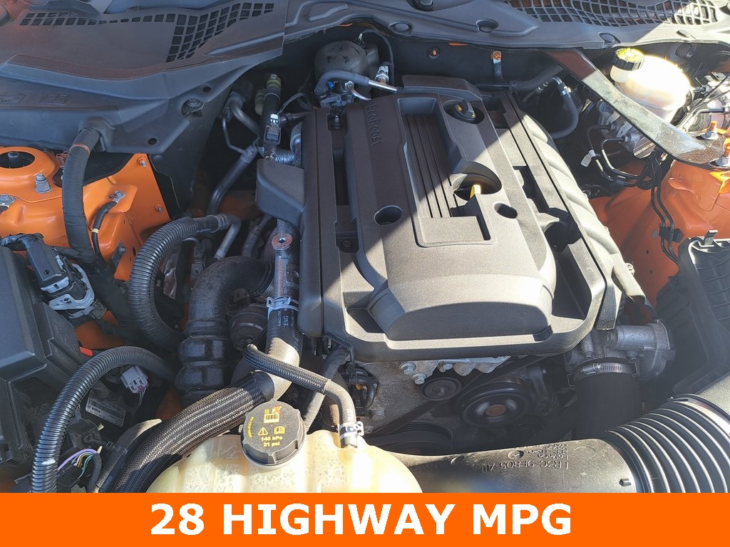 2020 Ford Mustang EcoBoost Convertible RWD 30