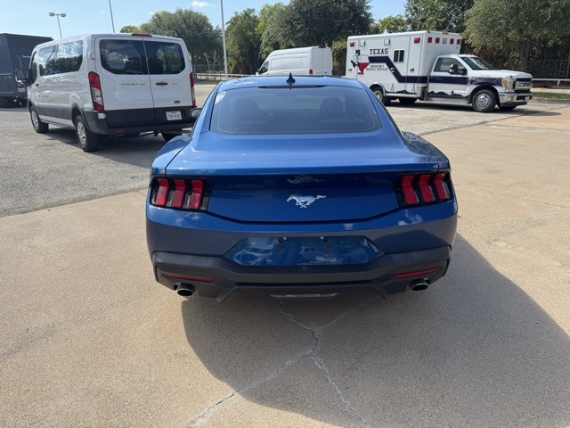 2024 Ford Mustang EcoBoost photo 2
