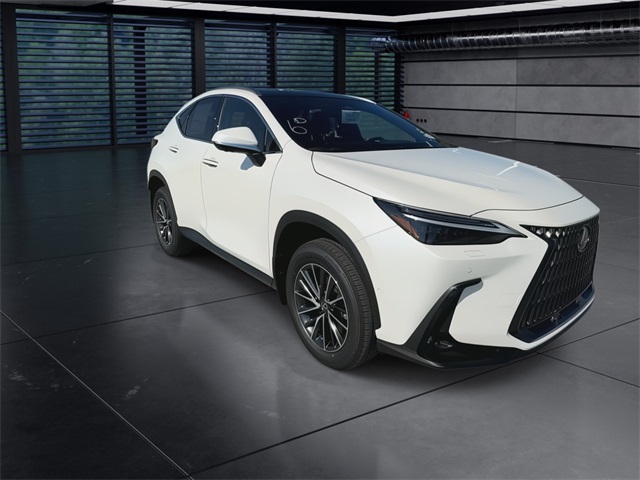 2025 Lexus NX 350h Luxury AWD photo 2