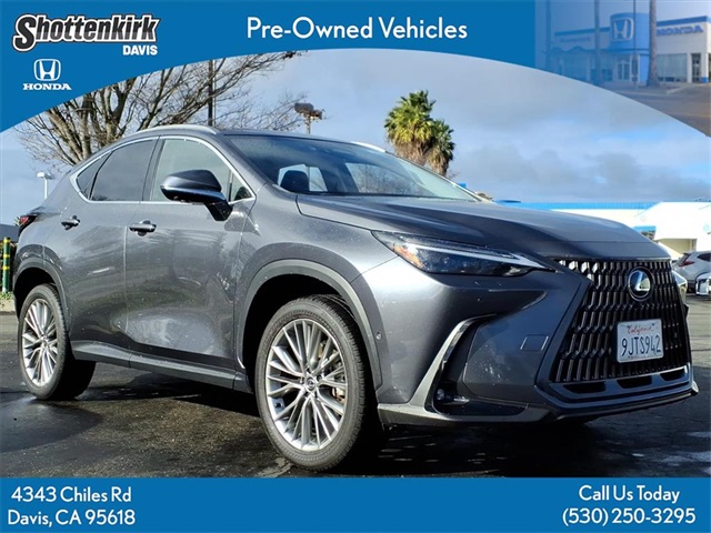 2024 Lexus NX Hybrid 350h's photo