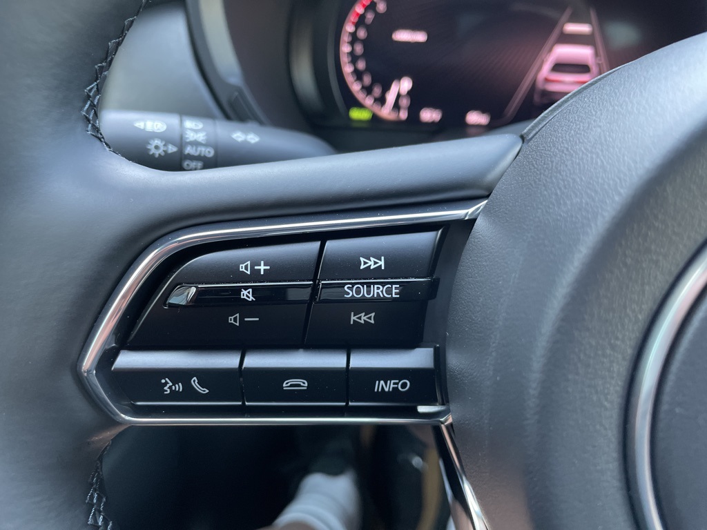 2025 Mazda CX-90 3.3 Turbo Premium Plus photo 19