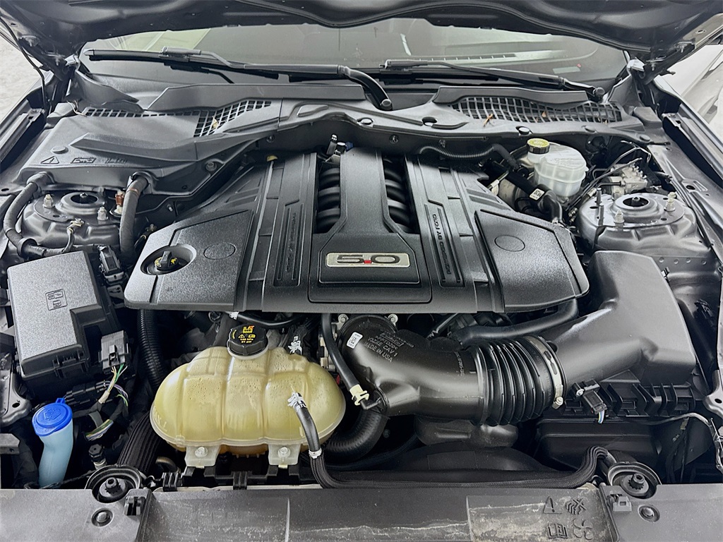 Photo of 2021 Ford Mustang GT Premium in Myrtle Beach, SC - 29,  2021 Ford Mustang GT Premium:3850H