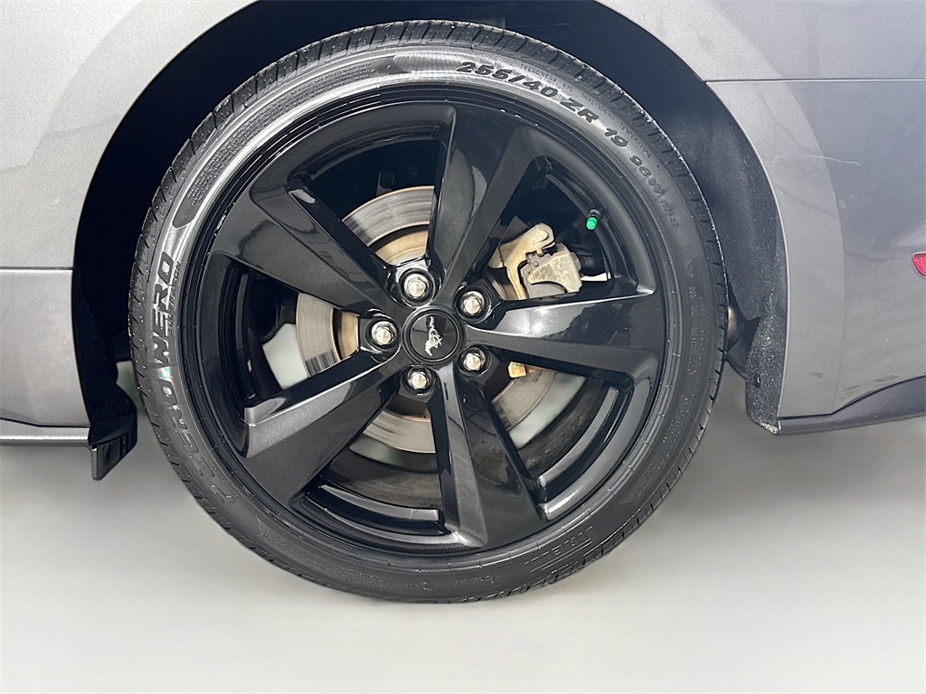 Photo of 2021 Ford Mustang GT Premium in Myrtle Beach, SC - 30,  2021 Ford Mustang GT Premium:3850H