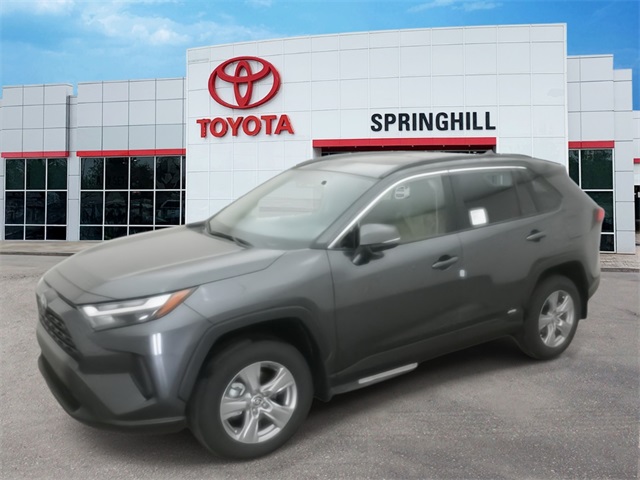 2025 Toyota RAV4 XLE's photo