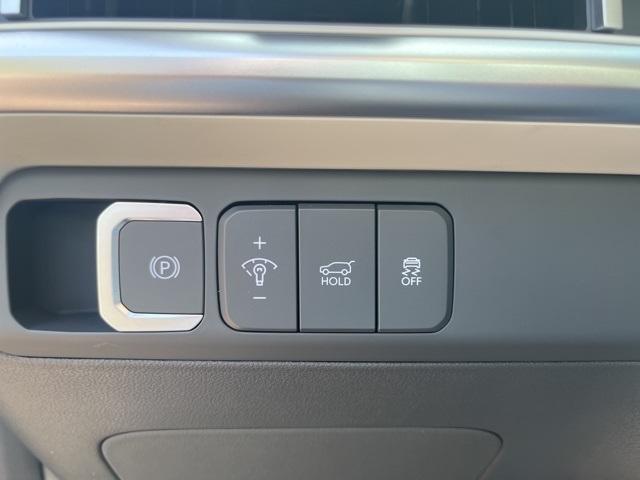 Santa Fe Hybrid SEL