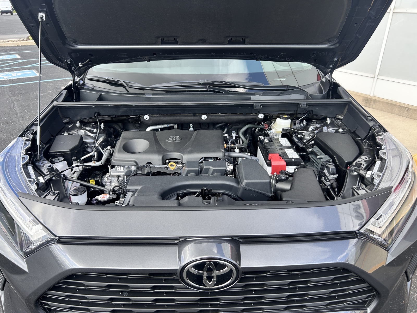 2025 Toyota RAV4 XLE photo 3