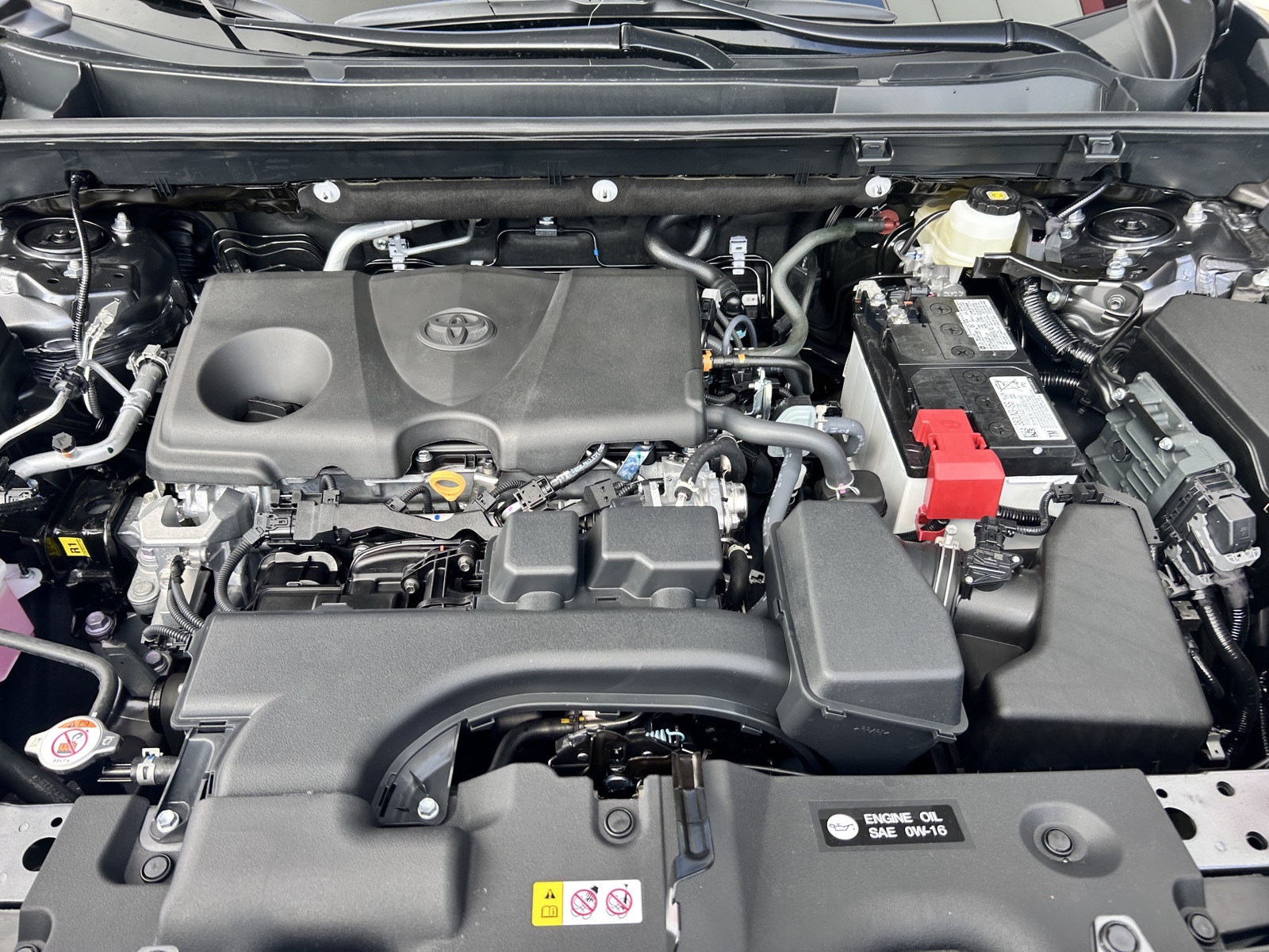 2025 Toyota RAV4 XLE photo 4