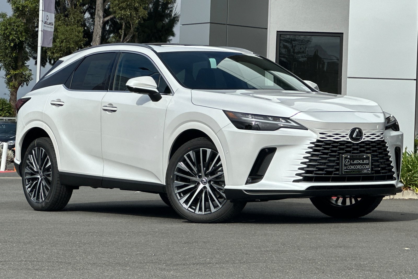 2025 Lexus RX 350 Premium AWD photo 2