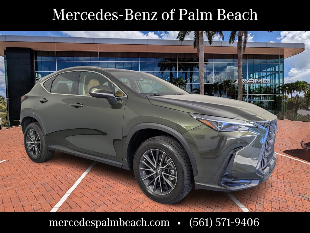 2024 Lexus NX 250's photo