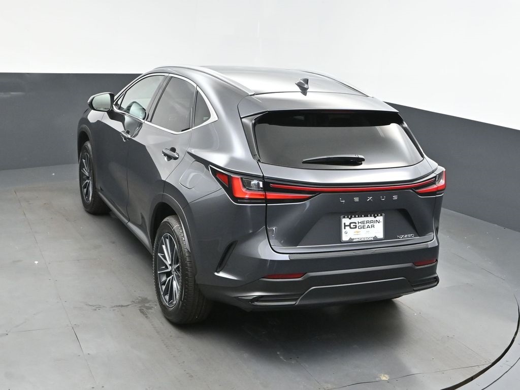 2025 Gray Lexus NX 250 Premium FWD SUV