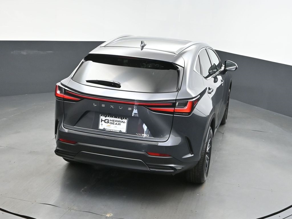 2025 Gray Lexus NX 250 Premium FWD SUV