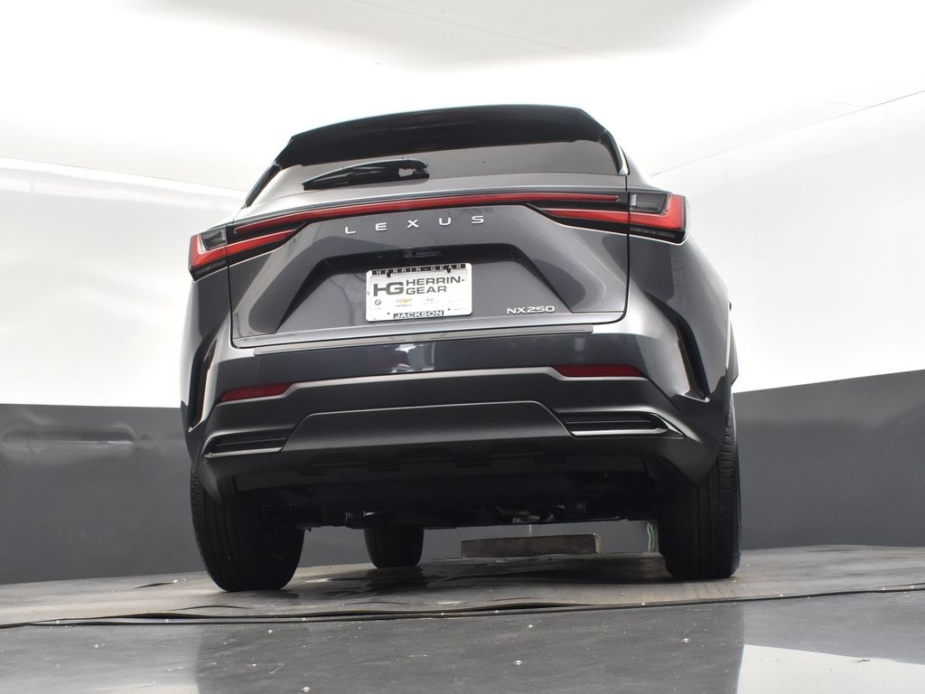 2025 Gray Lexus NX 250 Premium FWD SUV