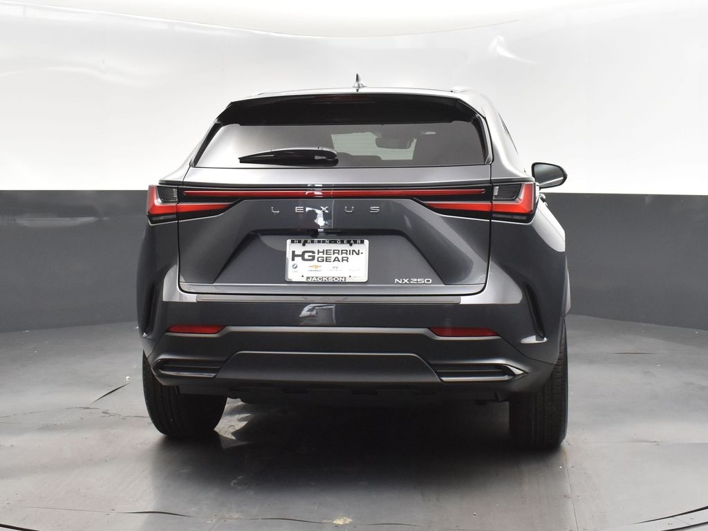 2025 Gray Lexus NX 250 Premium FWD SUV