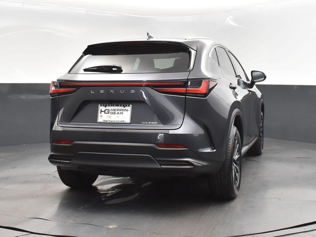 2025 Gray Lexus NX 250 Premium FWD SUV