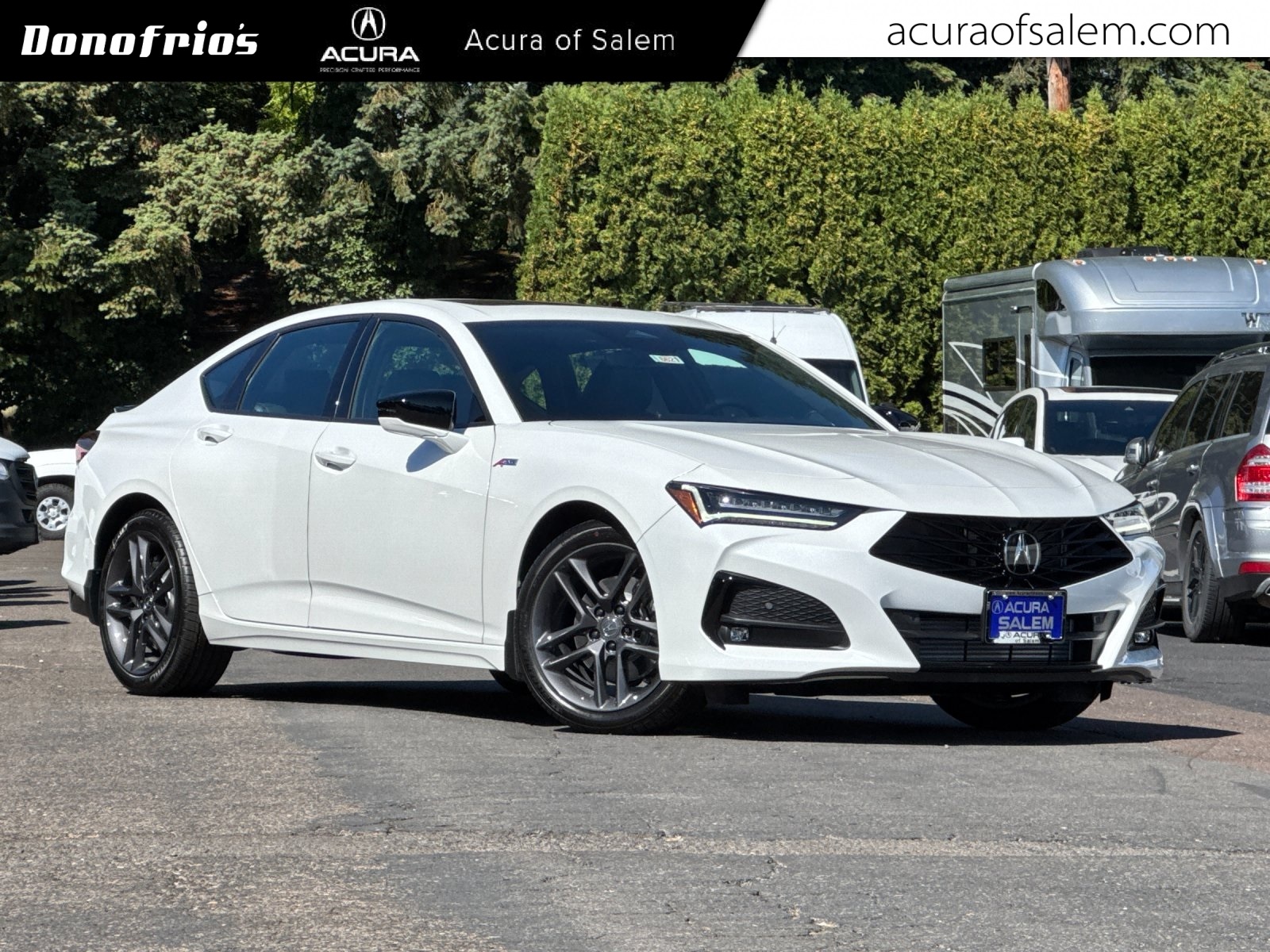 new 2025 Acura TLX car