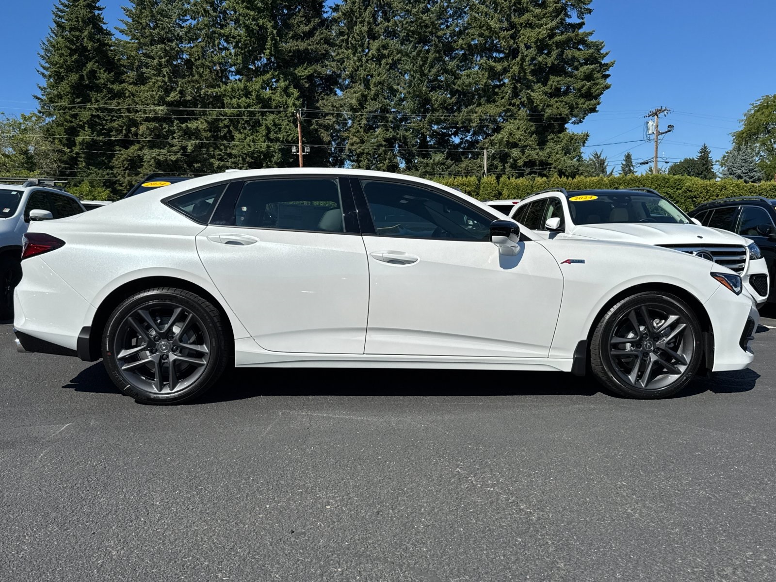 new 2025 Acura TLX car