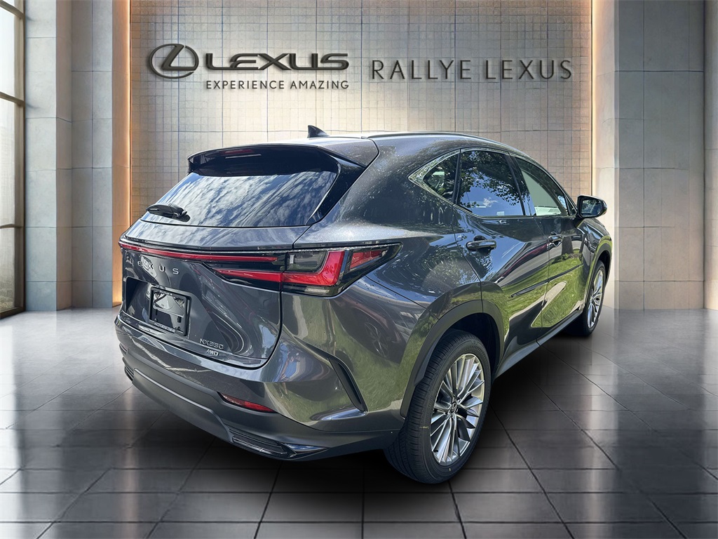 new 2025 Lexus NX car, priced at $52,659