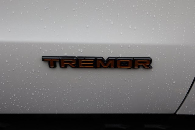 new 2025 Ford Expedition car, priced at $85,180