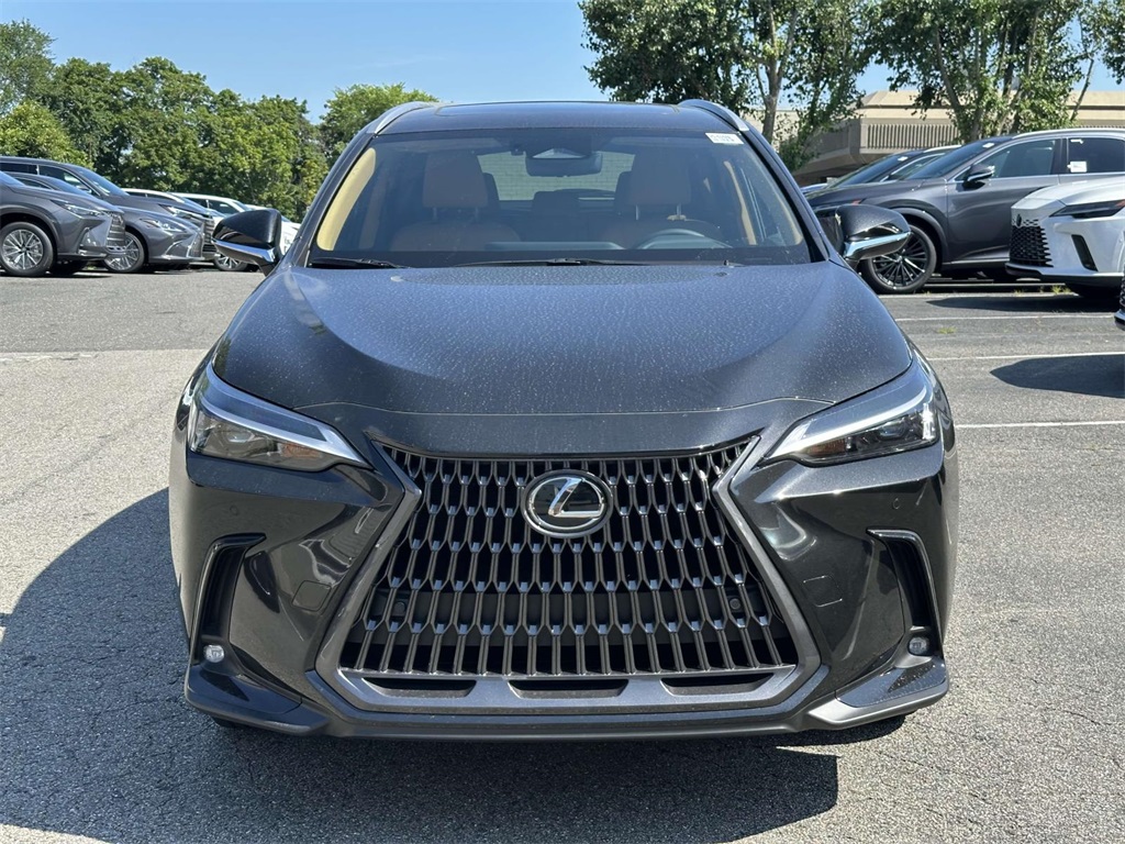 new 2025 Lexus NX car, priced at $49,930